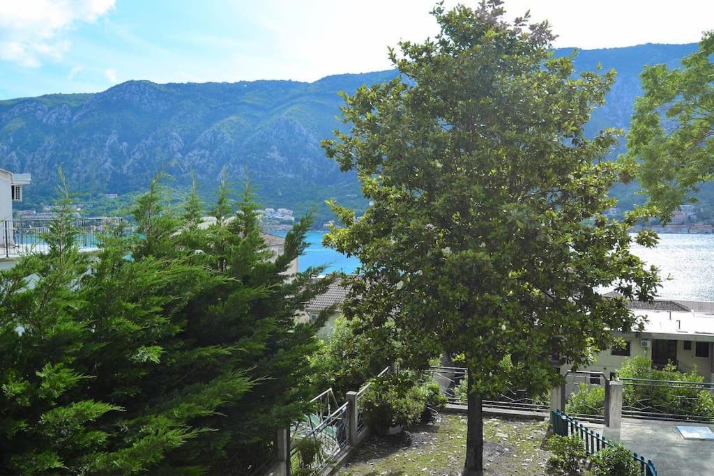 Urban Escape For Two In Kotor Lejlighed Eksteriør billede